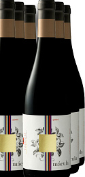Mácula 2006 (x6)