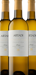 Viñas de Gain Blanco 2011 (x3)