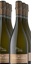Gran Selecció Brut Nature GR 2010 (x6)