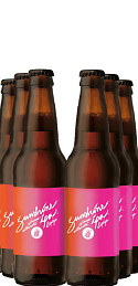Pack Espiga Sunshine IPA 33cl (x6)
