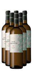 José Pariente Sauvignon blanc 2016 (x6)