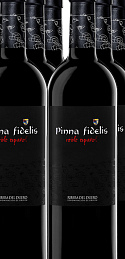 Pinna Fidelis Roble Español 2007 (x6)