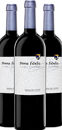 Pinna Fidelis Vendimia Seleccionada 2010 (x3)