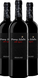 Pinna Fidelis Roble Español 2007 (x3)