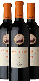 Malleolus 2015 (x3)