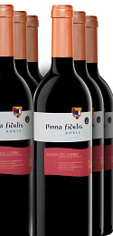 Pinna Fidelis Roble 2016 (x6)