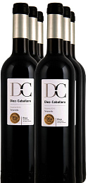 Diez-Caballero Reserva 2010 (x6)