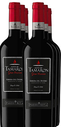 Altos Tamarón Gran Reserva 2011 (x6)