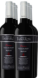 Altos de Tamarón Reserva 2014 (x6)