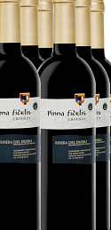 Pinna Fidelis Crianza 2016 (x6)