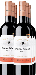 Pinna Fidelis Roble 2018 (x6)