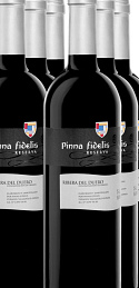 Pinna Fidelis Reserva 2014 (x6)