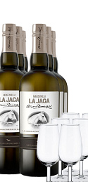 Pack Manzanilla La Jaca (x6) con 6 catavinos
