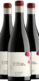 Villa de Corullón 2019 en Primeur (x3)