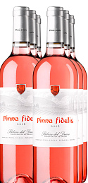 Pinna Fidelis Rosé 2020 (x6)