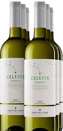 Celeste Verdejo 2021 (x6)