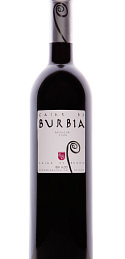 Casar de Burbia 2008