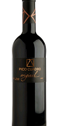 Pico Cuadro Original 2009