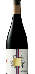 Mácula 2006