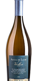 Aigua de Llum 2015