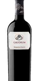 Gaudium 2015