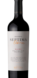 Séptima Obra Malbec 2020