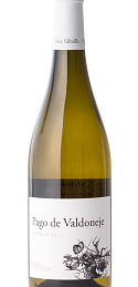 Pago de Valdoneje Godello 2019