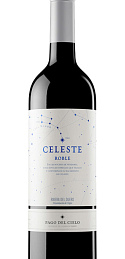 Celeste Roble 2021