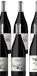 Pack Cepa 21 Cata Vertical (x6)
