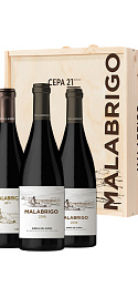 Estuche Malabrigo Cata Vertical (x3)