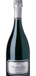 Tantum Ergo Chardonnay-Pinot Noir BN 2020