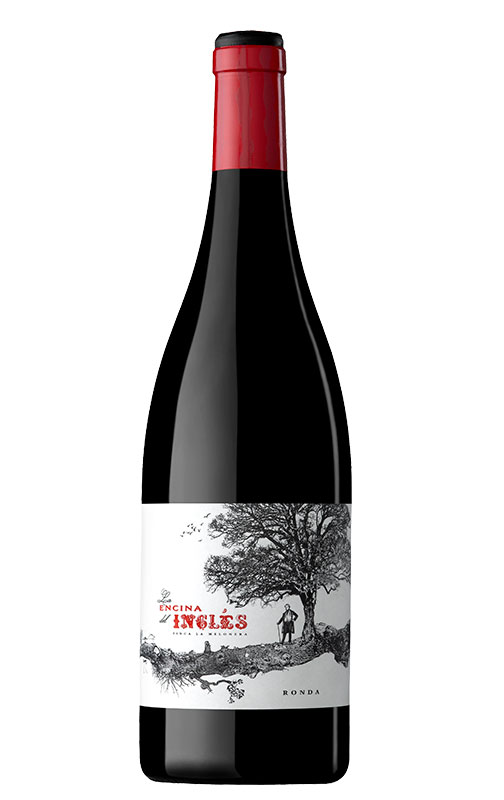 Encina Del Inglés Tinto 2024