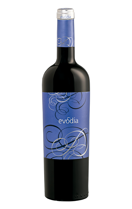 Evodia 2024